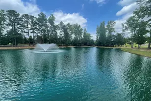 2434 Whitewing Ln, Wendell, NC 27591 - Photo 20