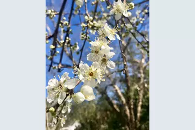 221 Whitfield Street, Enfield, NC 27823 - Photo 48