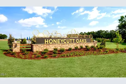 49 Red Clover Drive, Angier, NC 27501 - Photo 34