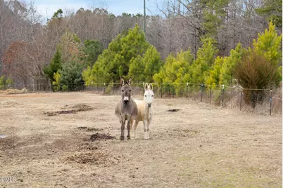 13913 Bold Run Hill Road, Raleigh, NC 27587 - Photo 18