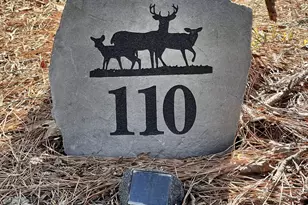 110 Mohican Dr, Louisburg, NC 27549 - Photo 34