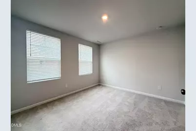 196 Aster Bloom Lane, Raleigh, NC 27610 - Photo 4