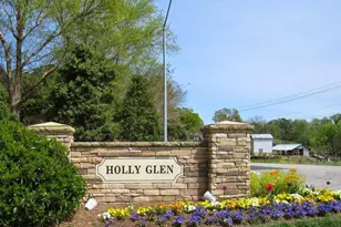 501 Avent Meadows Ln, Holly Springs, NC 27540 - Photo 36