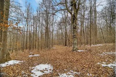 0 Mace Road, Mebane, NC 27302 - Photo 28