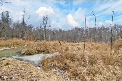 0 Mace Road, Mebane, NC 27302 - Photo 24