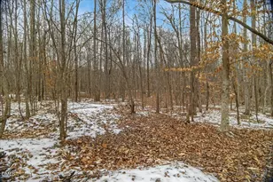 0 Mace Rd, Mebane, NC 27302 - Photo 26