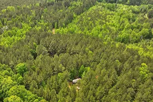 3009 Pleasant Hill Church Rd, Siler City, NC 27344 - Photo 84