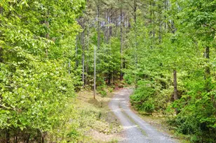 3009 Pleasant Hill Church Rd, Siler City, NC 27344 - Photo 88