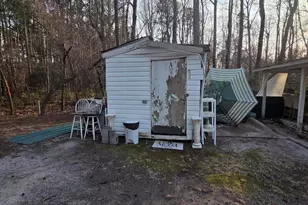 951 Minter School Rd, Sanford, NC 27332 - Photo 22