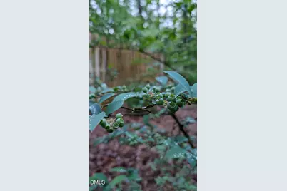 4514 Creeks Crossing, Efland, NC 27243 - Photo 40