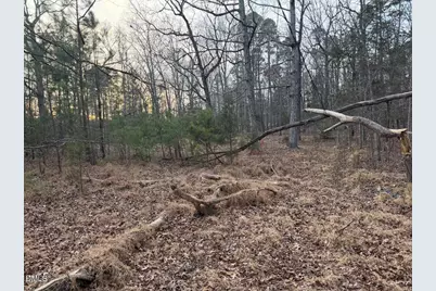 605 Snow Hill Road, Durham, NC 27712 - Photo 4