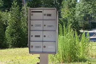 2215 University Dr, Durham, NC 27707 - Photo 22