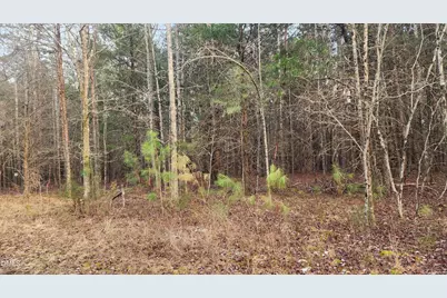 000 Northpointe Farms Trail, Efland, NC 27243 - Photo 10