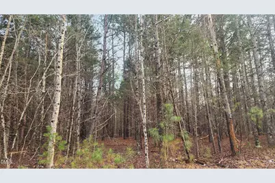 000 Northpointe Farms Trail, Efland, NC 27243 - Photo 8