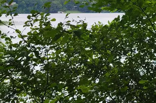 Lot 23 Sail View Ln, Macon, NC 27551 - Photo 1