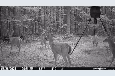 Lot 1 Olivia Pope Way, Efland, NC 27243 - Photo 26