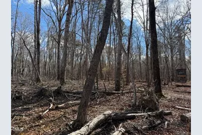Lot 1 Olivia Pope Way, Efland, NC 27243 - Photo 4