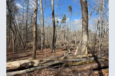 Lot 1 Olivia Pope Way, Efland, NC 27243 - Photo 2