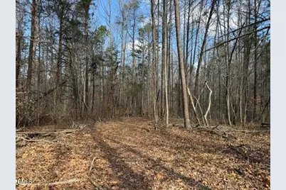 Lot 1 Olivia Pope Way, Efland, NC 27243 - Photo 22