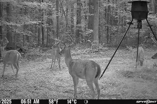 Lot 1 Olivia Pope Way, Efland, NC 27243 - Photo 50