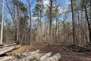 Lot 1 Olivia Pope Way, Efland, NC 27243 - Photo 46