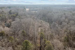 Lot 1 Olivia Pope Way, Efland, NC 27243 - Photo 36