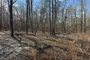 Lot 1 Olivia Pope Way, Efland, NC 27243 - Photo 32