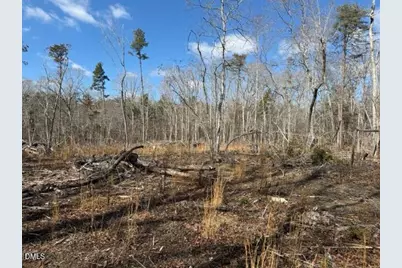 Lot 1 Olivia Pope Way, Efland, NC 27243 - Photo 30