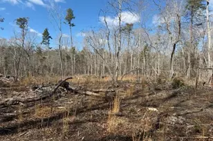 Lot 1 Olivia Pope Way, Efland, NC 27243 - Photo 30