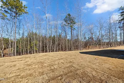 233 Beta Court, Sanford, NC 27330 - Photo 34