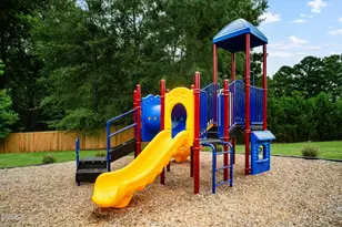 1000 Red Finch Wy, Angier, NC 27501 - Photo 24