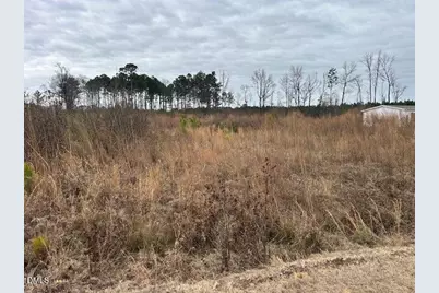 0 N McCullen Road, Faison, NC 28341 - Photo 2