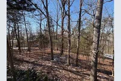 102 Jolyn Place, Chapel Hill, NC 27517 - Photo 4