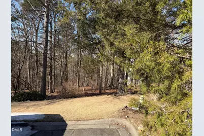 102 Jolyn Place, Chapel Hill, NC 27517 - Photo 2