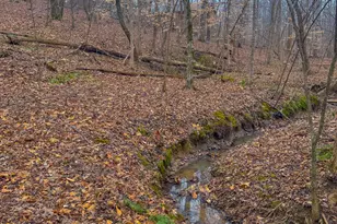 361 Rock Creek Dr, Milton, NC 27305 - Photo 52