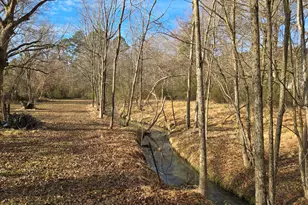 308 Sunset Ave, Oxford, NC 27565 - Photo 36