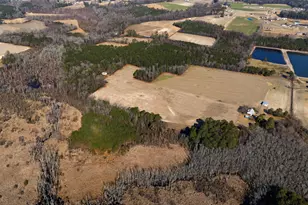 5964 (E) Godwin Lake Rd, Dunn, NC 28334 - Photo 58