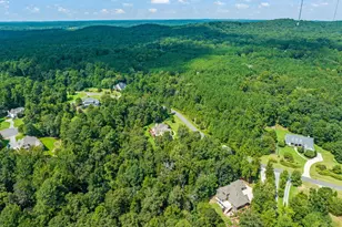 466 Cedar Grove Rd, Pittsboro, NC 27312 - Photo 52