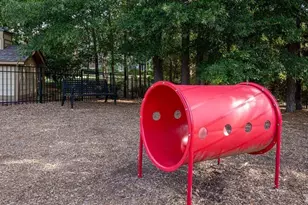 300 Cosgrove Ave, Chapel Hill, NC 27514 - Photo 14