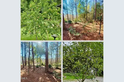 2465 Shoeheel Road, Selma, NC 27576 - Photo 34