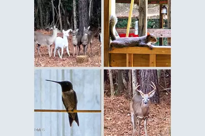 2465 Shoeheel Road, Selma, NC 27576 - Photo 34