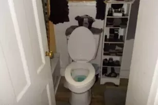 211 S Bank St, Roper, NC 27970 - Photo 4