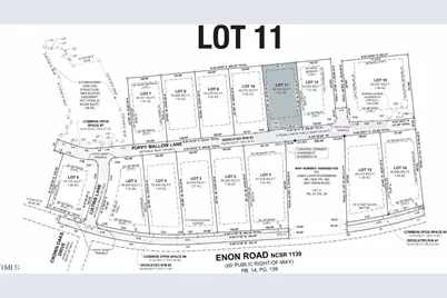 Lot 11 Poppy Mallow Lane, Stem, NC 27581 - Photo 10