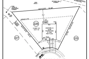 101 Magma Ln, Holly Springs, NC 27540 - Photo 42