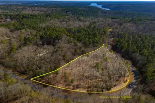 487 Pickett Ln, Pittsboro, NC 27312 - Photo 1