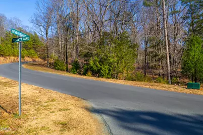 487 Pickett Lane, Pittsboro, NC 27312 - Photo 18