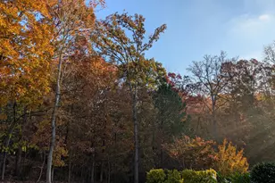 2219 Spacious Skies St, Raleigh, NC 27614 - Photo 62