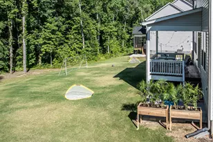 463 Badger Pass Dr, Clayton, NC 27527 - Photo 42