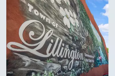 268 Thomas Trail, Lillington, NC 27546 - Photo 12