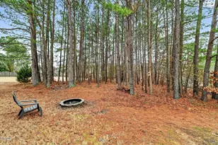 610 Toledo Ct, Rolesville, NC 27571 - Photo 46